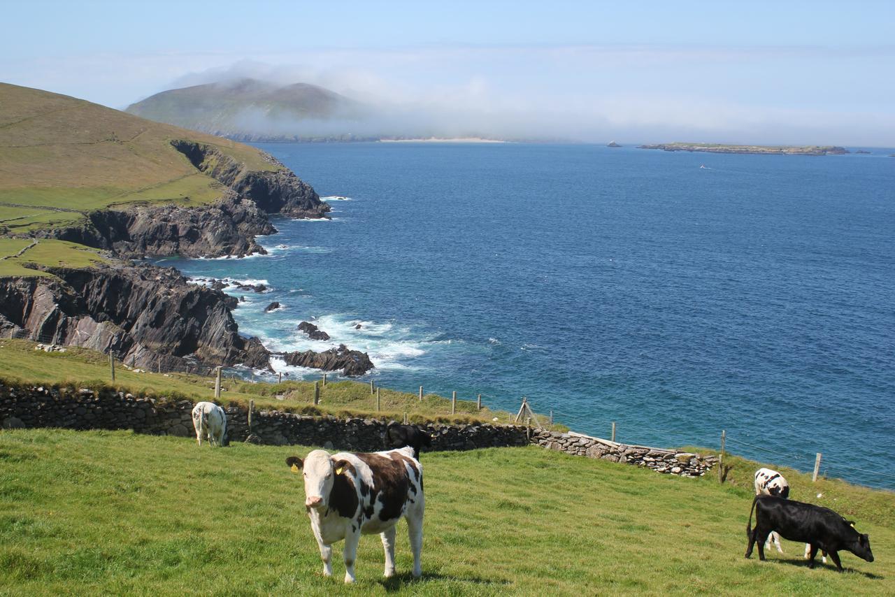 Dingle Courtyard Cottages 4 Bed By Trident Holiday Homes 외부 사진